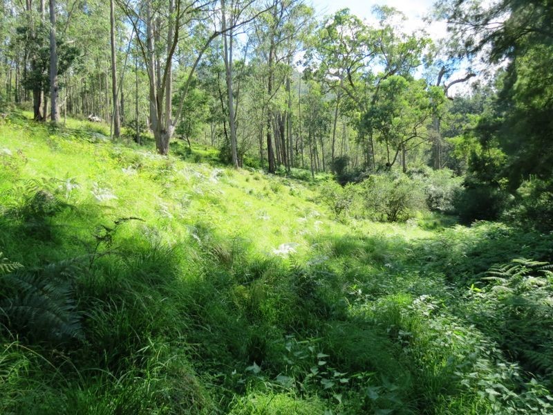 Lot 32 Kiangatha Cullenbenbong Rd, Kanimbla NSW 2790