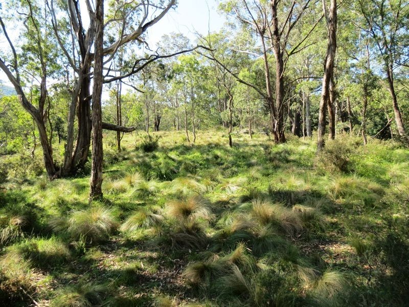 Lot 32 Kiangatha Cullenbenbong Rd, Kanimbla NSW 2790