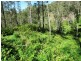 Lot 32 Kiangatha Cullenbenbong Rd, Kanimbla NSW 2790