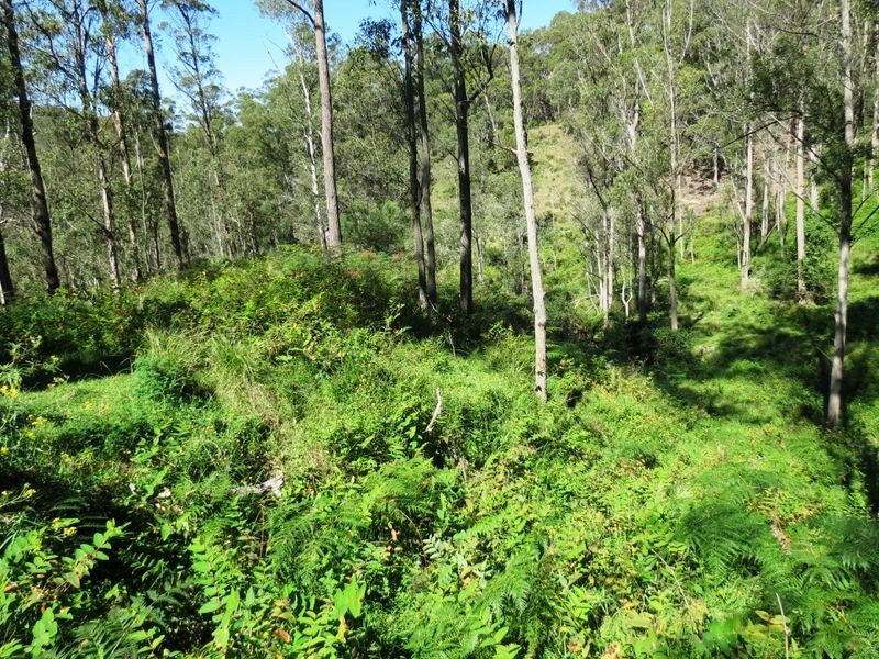 Lot 32 Kiangatha Cullenbenbong Rd, Kanimbla NSW 2790