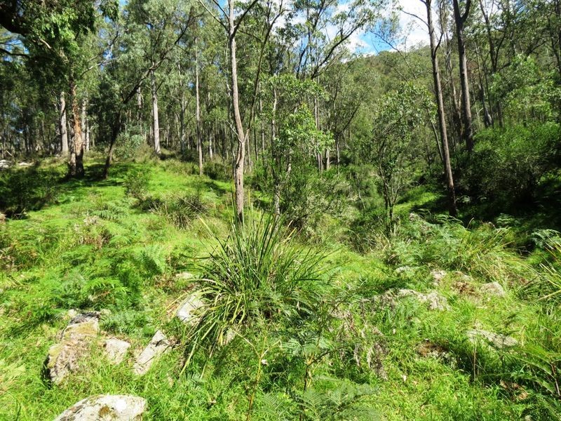 Lot 32 Kiangatha Cullenbenbong Rd, Kanimbla NSW 2790