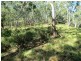 Lot 32 Kiangatha Cullenbenbong Rd, Kanimbla NSW 2790
