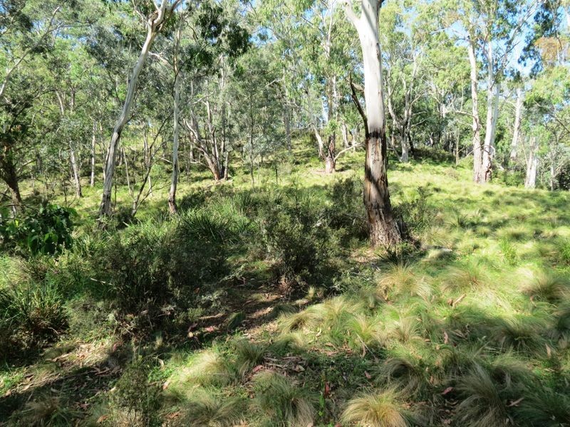 Lot 32 Kiangatha Cullenbenbong Rd, Kanimbla NSW 2790