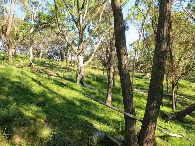 2/KIANGATHA Cullenbenbong Road, Kanimbla NSW 2790