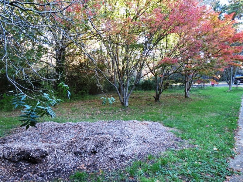 26 Magdala Street, Katoomba NSW 2780