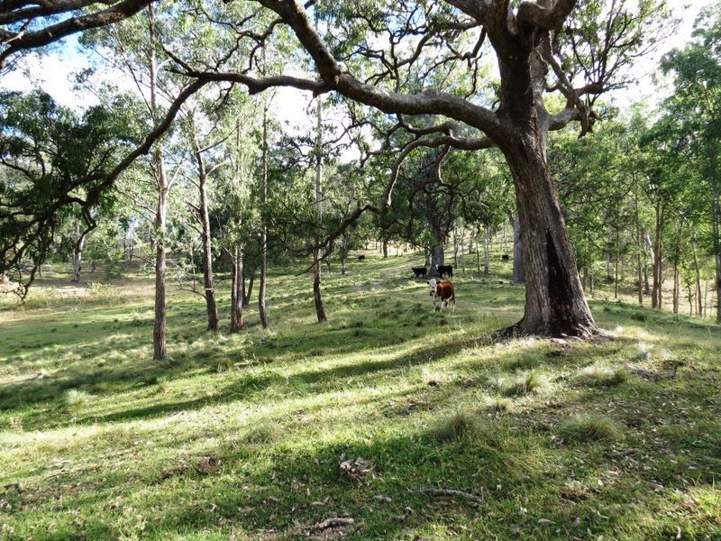 Lot 5 Kiangatha Cullenbenbong Road, Kanimbla NSW 2790