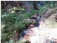 Lot 5 Kiangatha Cullenbenbong Road, Kanimbla NSW 2790