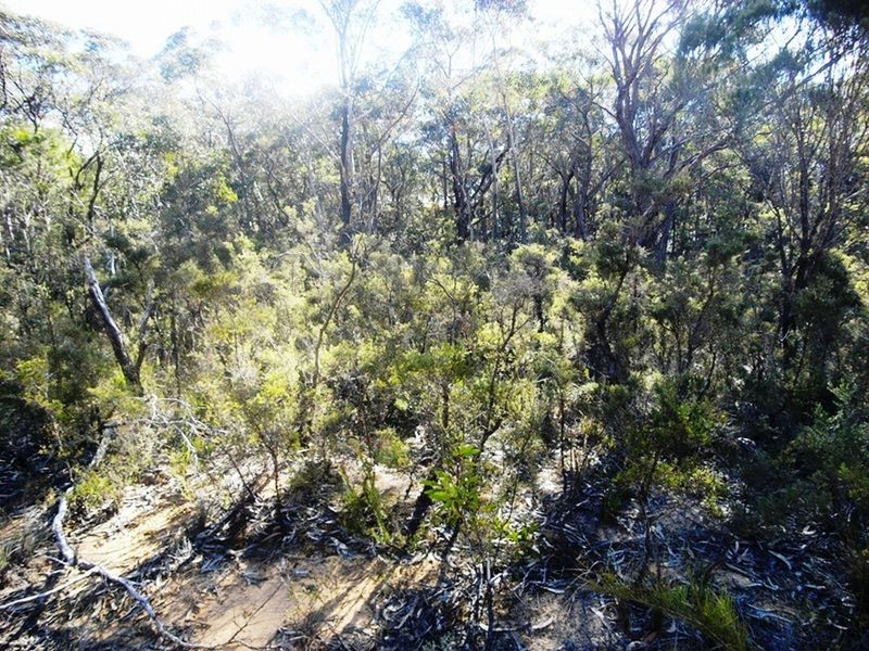 6 – 10 Clarendon Street, Wentworth Falls NSW 2782