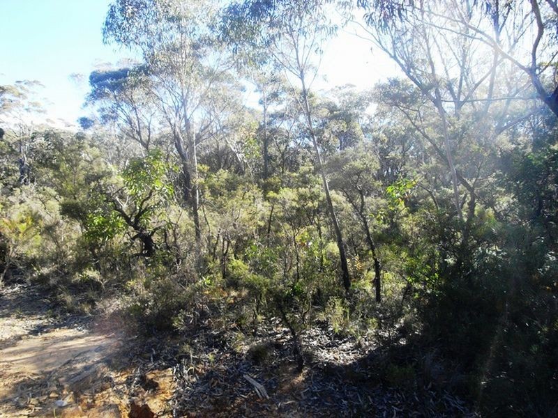 6 – 10 Clarendon Street, Wentworth Falls NSW 2782
