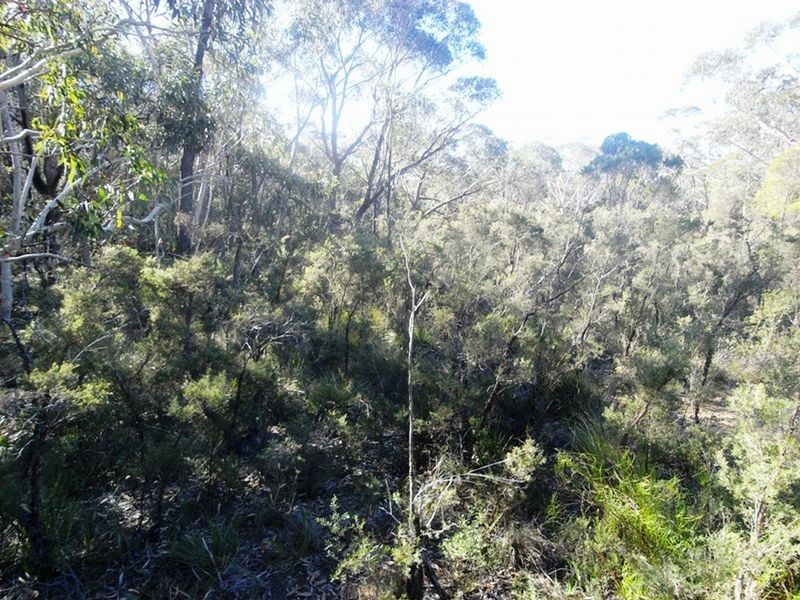 6 – 10 Clarendon Street, Wentworth Falls NSW 2782