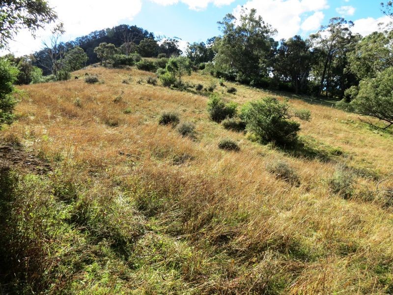 Lot 4 Kiangatha Cullenbenbong Road, Kanimbla NSW 2790
