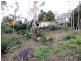 323 Bathurst Road, Katoomba NSW 2780