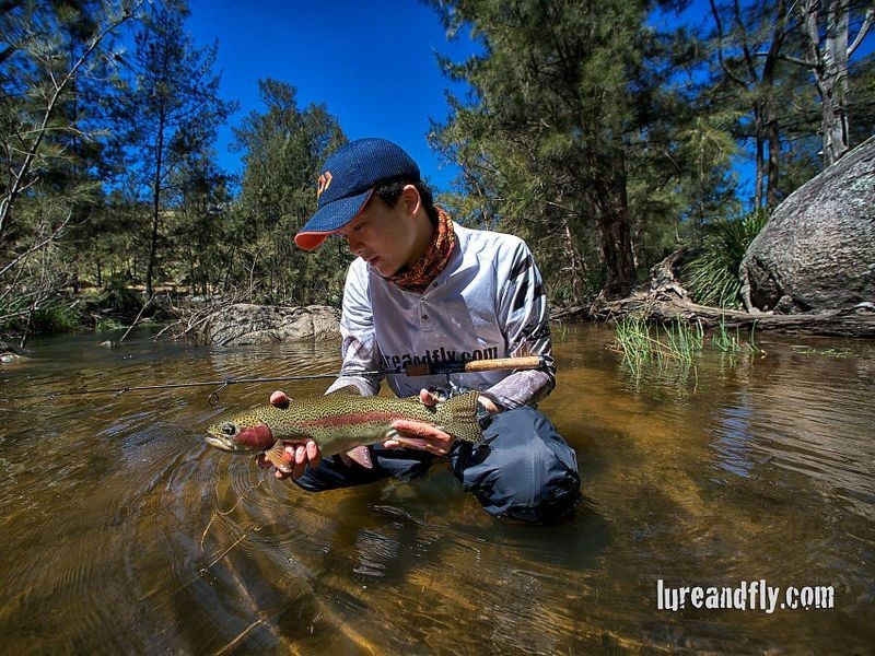 139 Cullenbenbong Road, Kanimbla NSW 2790