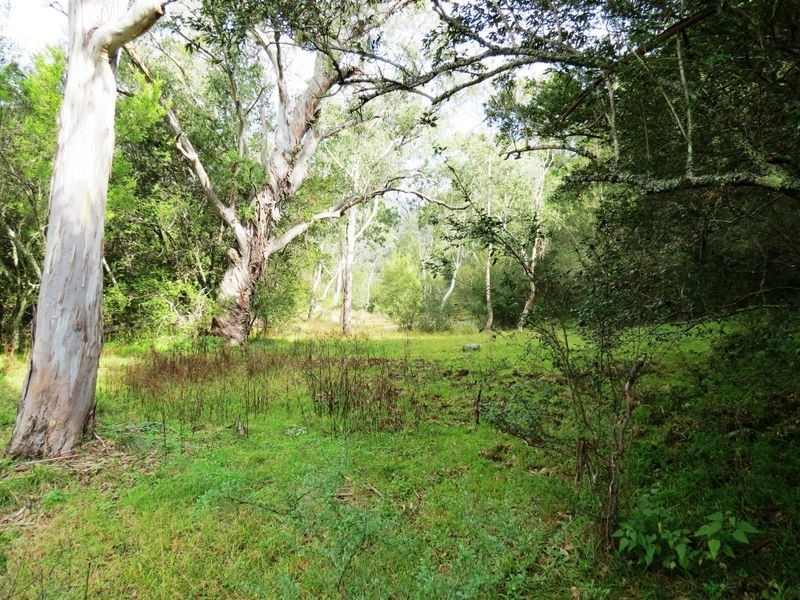 139 Cullenbenbong Road, Kanimbla NSW 2790