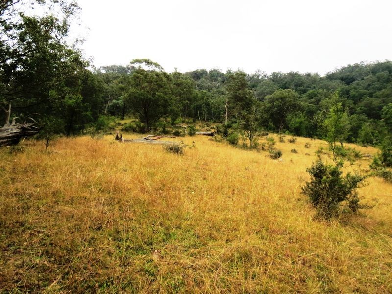 139 Cullenbenbong Road, Kanimbla NSW 2790