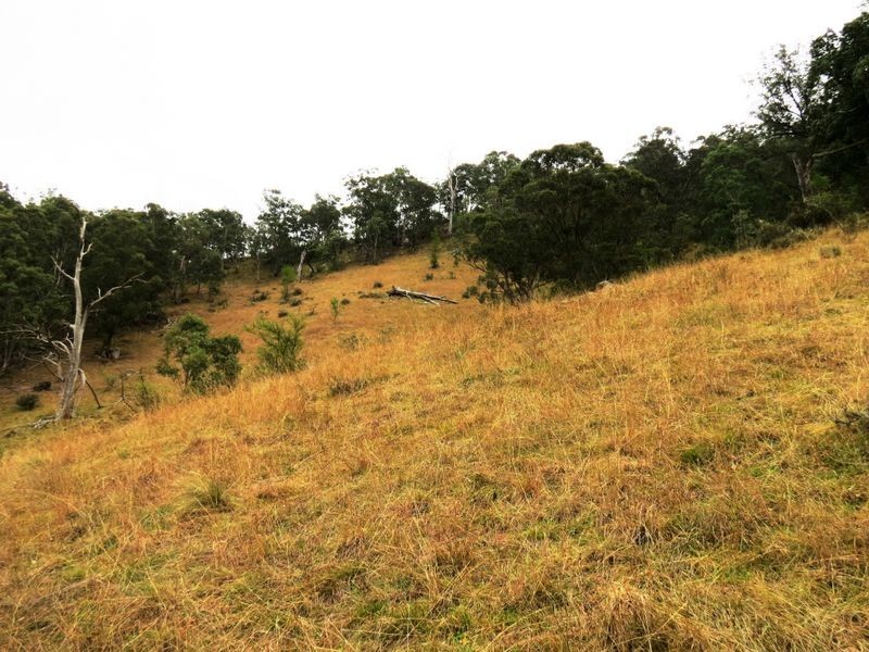 139 Cullenbenbong Road, Kanimbla NSW 2790