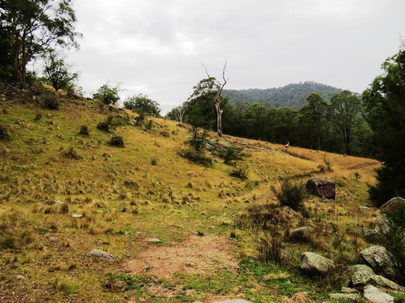 139 Cullenbenbong Road, Kanimbla NSW 2790