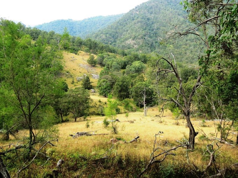 139 Cullenbenbong Road, Kanimbla NSW 2790