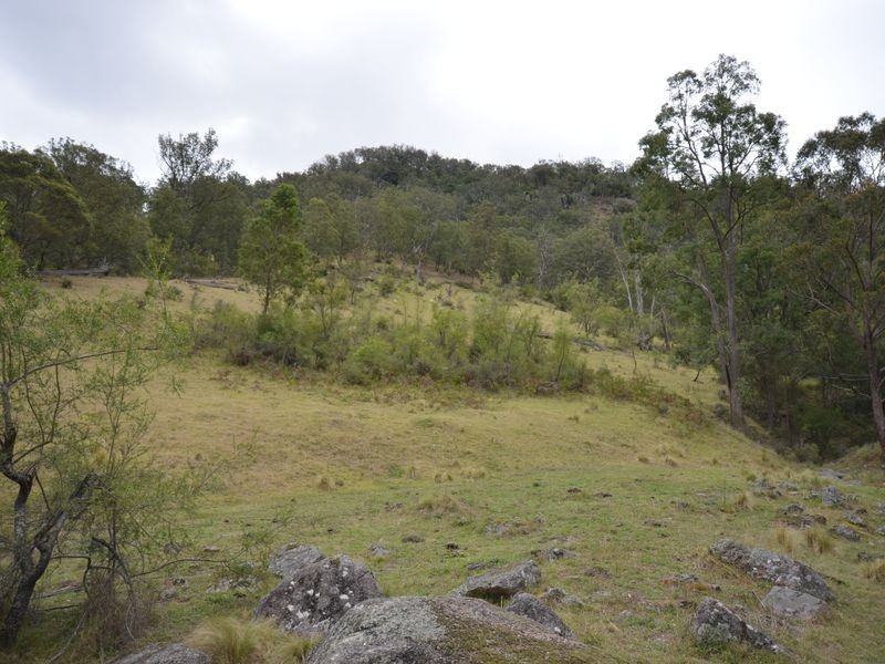 139 Cullenbenbong Road, Kanimbla NSW 2790