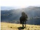 Lot 10 Kia Cullenbenbong Road, Kanimbla NSW 2790