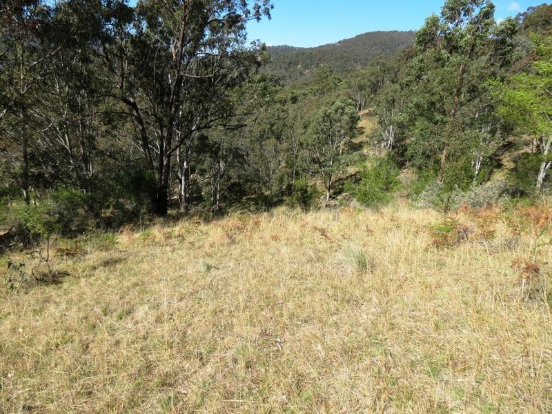 Lot 10 Kia Cullenbenbong Road, Kanimbla NSW 2790
