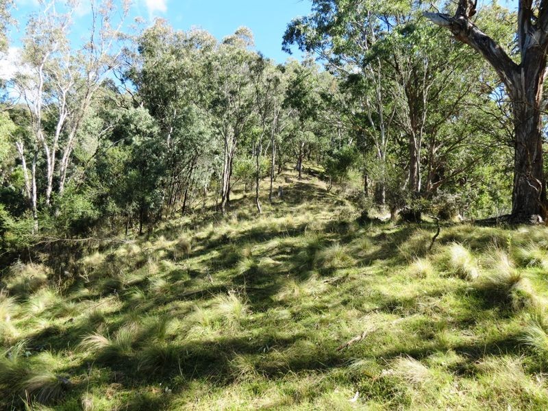Lot 10 Kia Cullenbenbong Road, Kanimbla NSW 2790