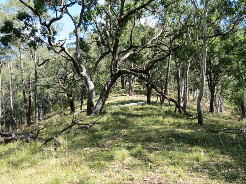 Lot 10 Kia Cullenbenbong Road, Kanimbla NSW 2790