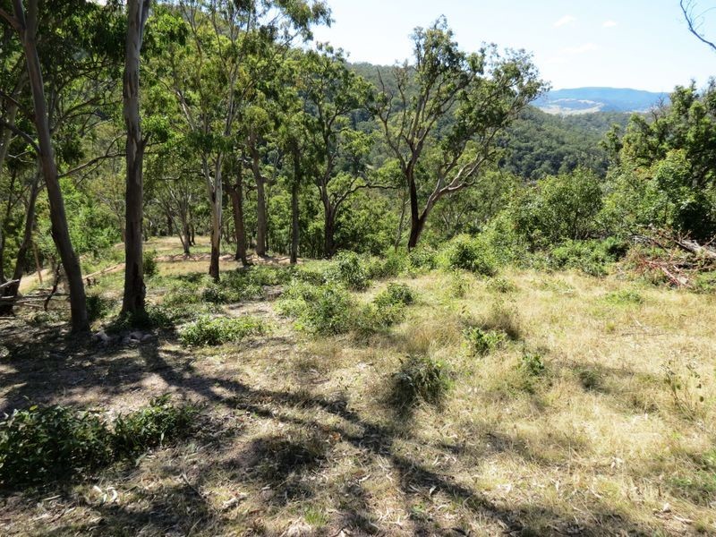 Lot 10 Kia Cullenbenbong Road, Kanimbla NSW 2790