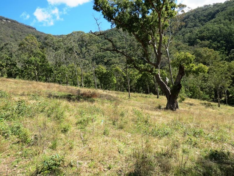 Lot 9 Kiangatha Cullenbenbong Road, Kanimbla NSW 2790