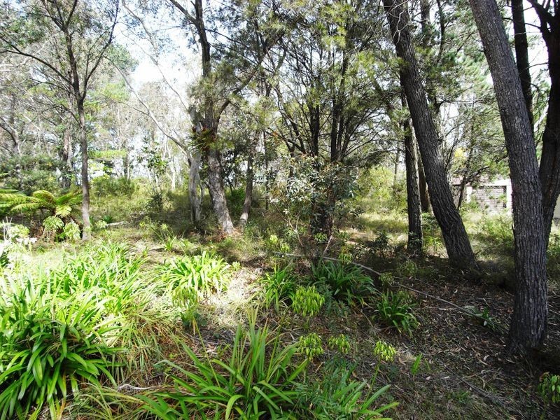 20 Yester Road, Wentworth Falls NSW 2782