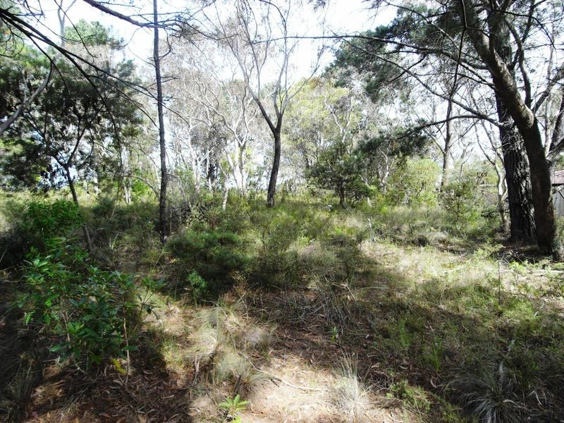 20 Yester Road, Wentworth Falls NSW 2782