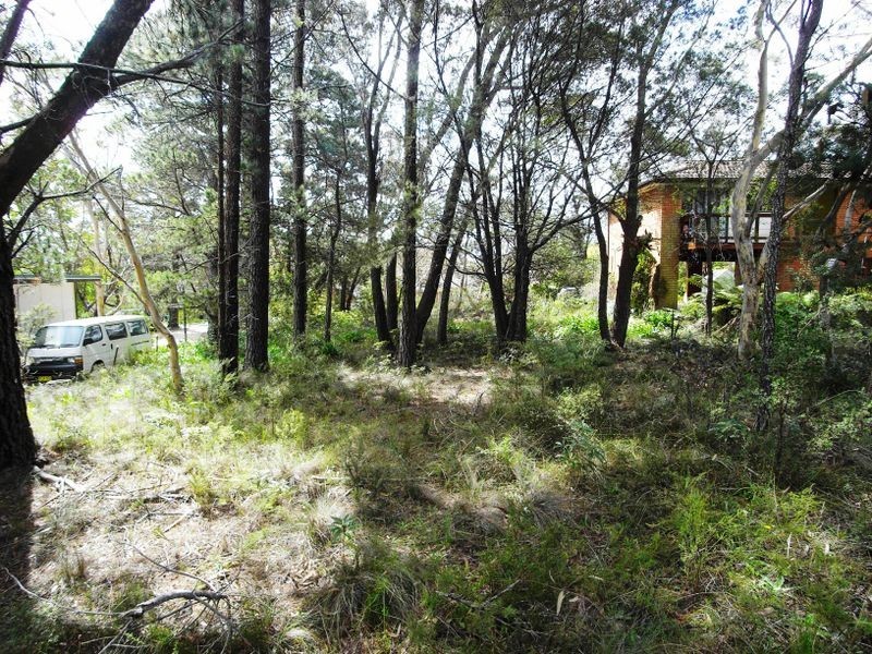 20 Yester Road, Wentworth Falls NSW 2782