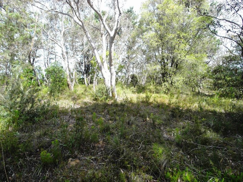 20 Yester Road, Wentworth Falls NSW 2782