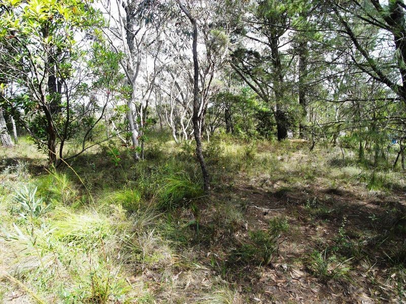 20 Yester Road, Wentworth Falls NSW 2782