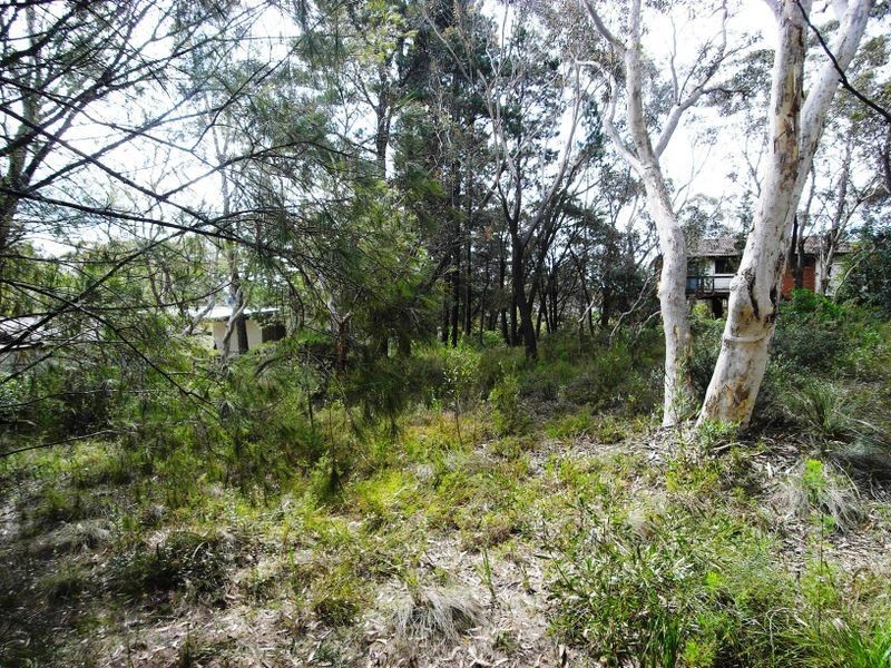 20 Yester Road, Wentworth Falls NSW 2782