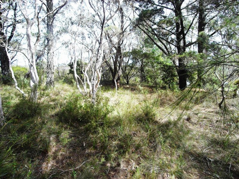 20 Yester Road, Wentworth Falls NSW 2782