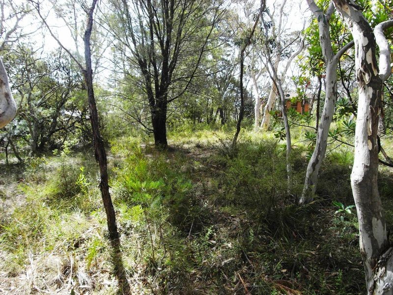 20 Yester Road, Wentworth Falls NSW 2782