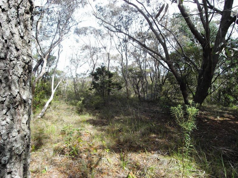 20 Yester Road, Wentworth Falls NSW 2782