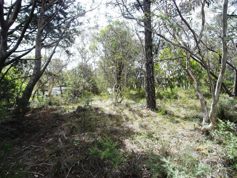 20 Yester Road, Wentworth Falls NSW 2782