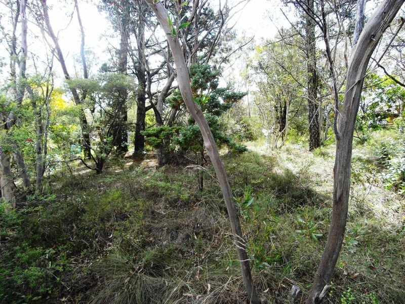 20 Yester Road, Wentworth Falls NSW 2782