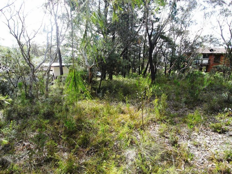 20 Yester Road, Wentworth Falls NSW 2782