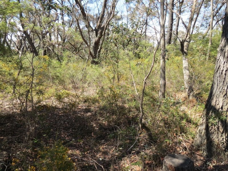 30 Delmonte Avenue, Medlow Bath NSW 2780