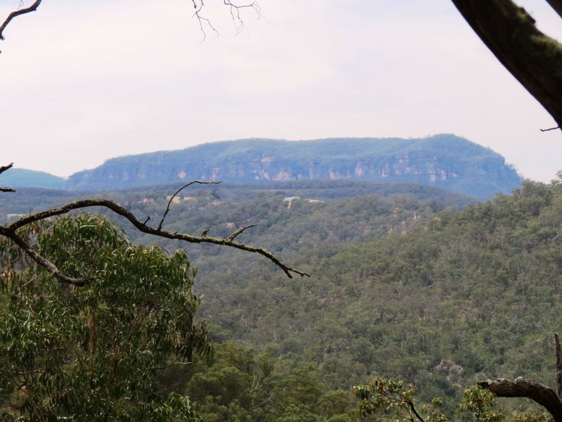 141 Cullenbenbong Road, Kanimbla NSW 2790