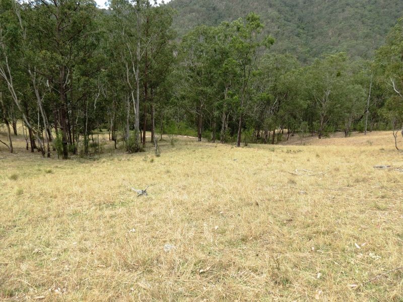 141 Cullenbenbong Road, Kanimbla NSW 2790