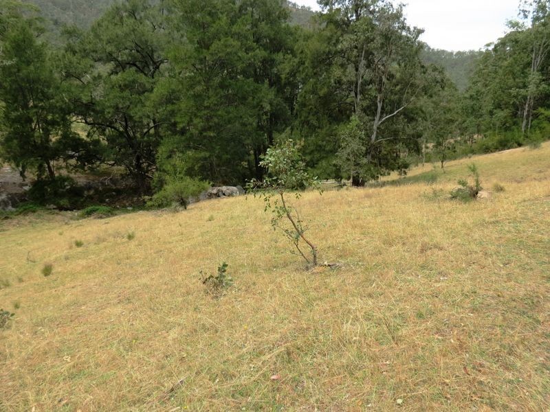 141 Cullenbenbong Road, Kanimbla NSW 2790