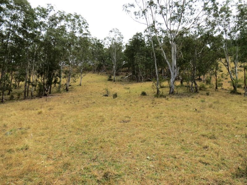 141 Cullenbenbong Road, Kanimbla NSW 2790