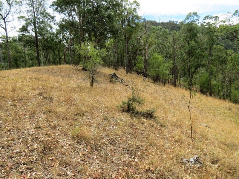 141 Cullenbenbong Road, Kanimbla NSW 2790