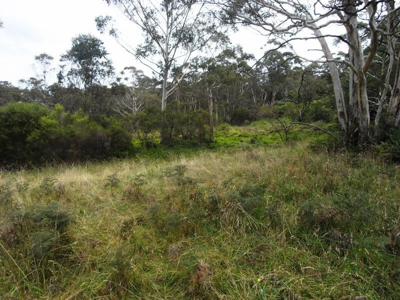 53 Burrawang Street, Katoomba NSW 2780