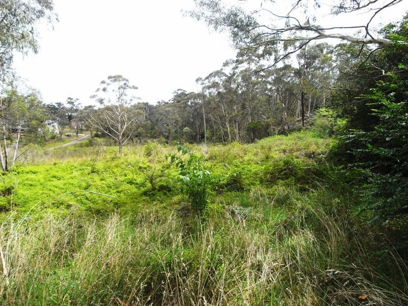 53 Burrawang Street, Katoomba NSW 2780