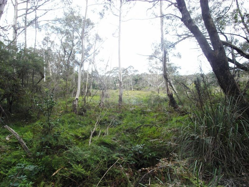 53 Burrawang Street, Katoomba NSW 2780